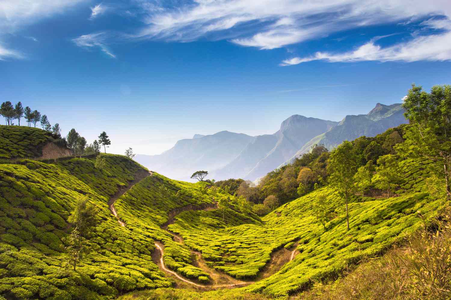 Explore Kerala: Unforgettable Holidays with Our Kerala Tour Packages